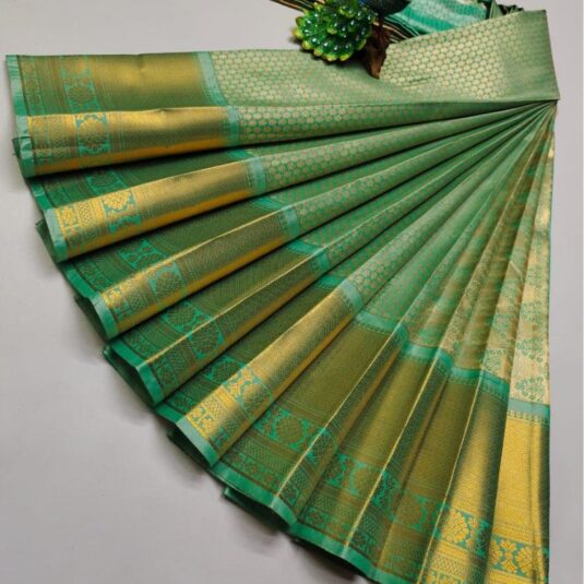 Sea green saree with golden border silk